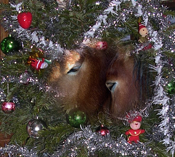 Noël