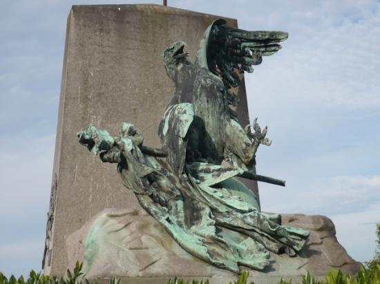 Aigle blessé